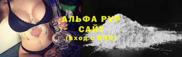 индика Горнозаводск
