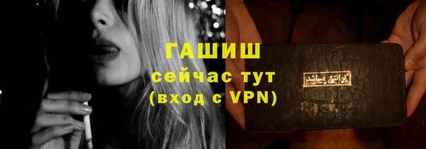 индика Горнозаводск