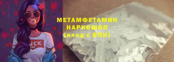 индика Горнозаводск