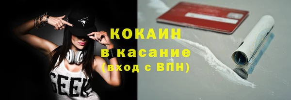 индика Горнозаводск