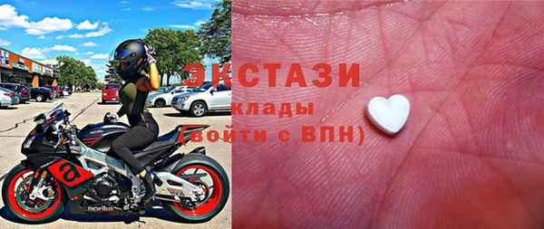индика Горнозаводск