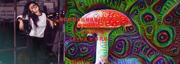 индика Горнозаводск