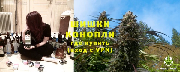 индика Горнозаводск
