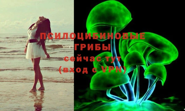 герыч Горняк