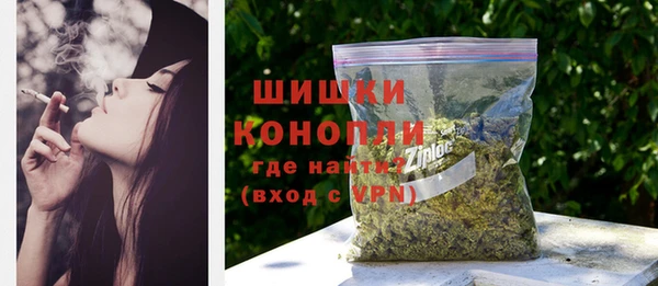индика Горнозаводск