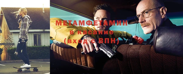 индика Горнозаводск