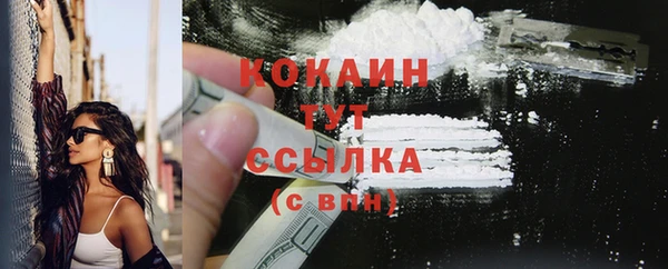 индика Горнозаводск
