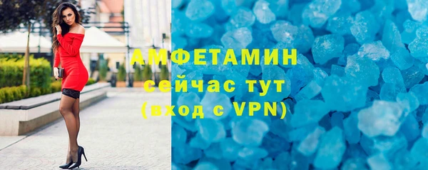 индика Горнозаводск