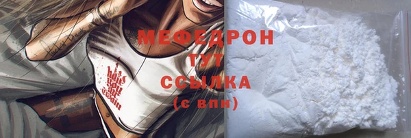 индика Горнозаводск