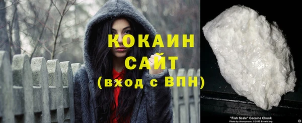 индика Горнозаводск