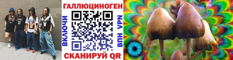Галлюциногенные грибы Psilocybe  Купить  Чапаевск 